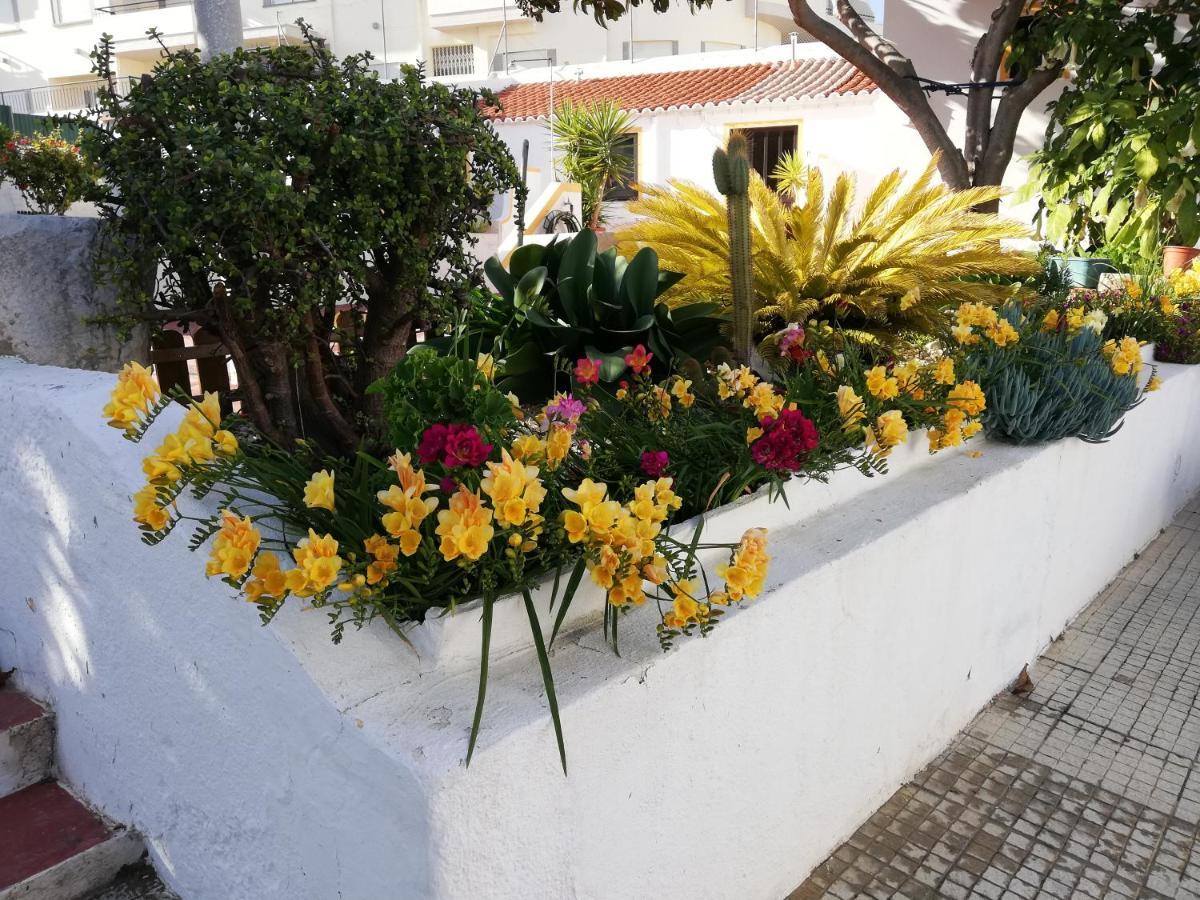 Apartamentos A Cerca Lagos Kültér fotó